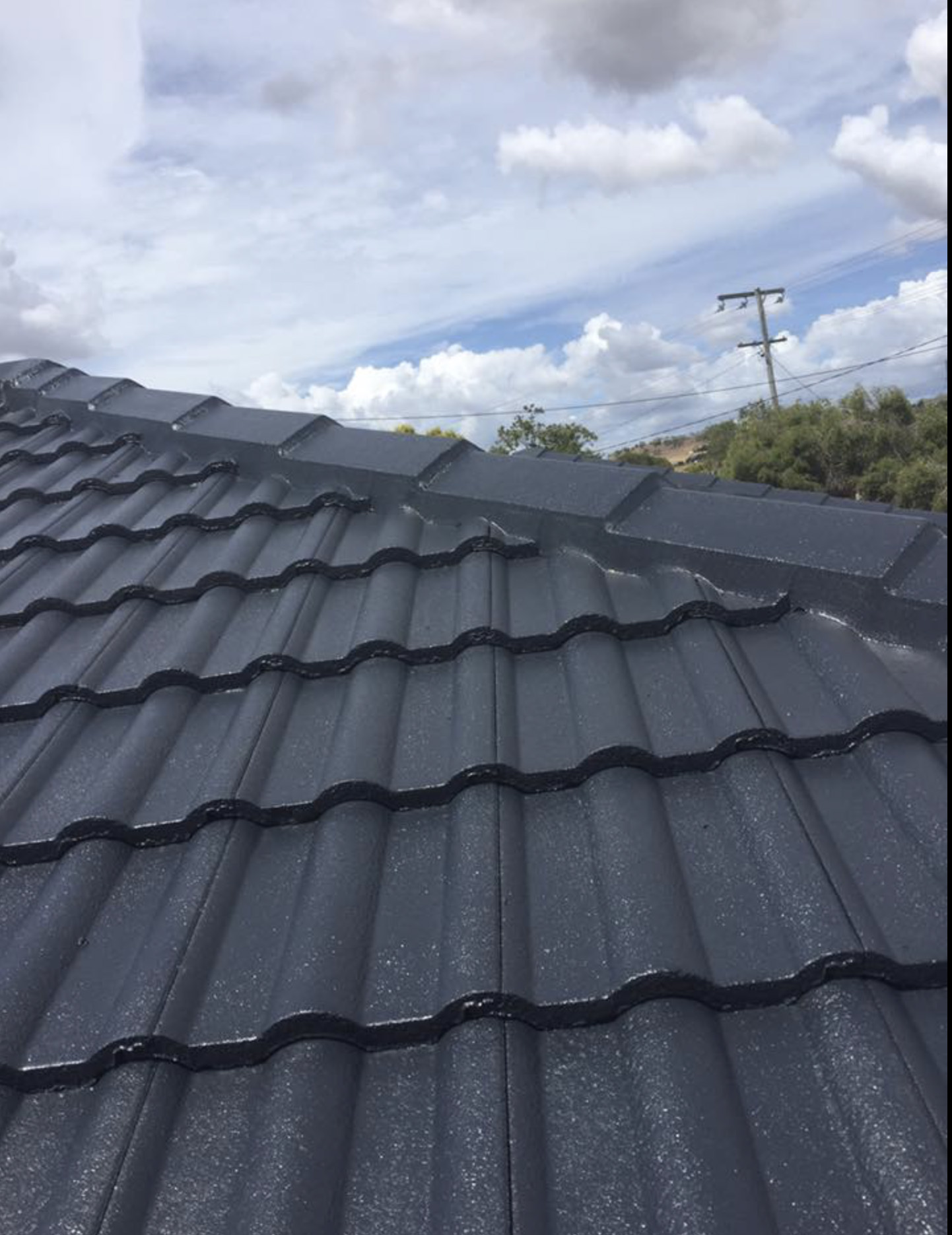 Ridge Re-Pointing