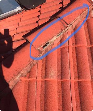 Leak Detection & Repairs